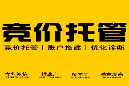 sem推广竞价全解析：案例揭示成功秘诀